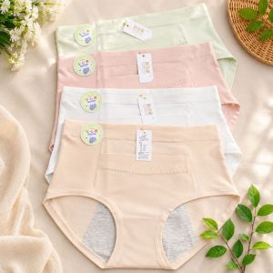 4 pcs panty